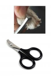 2 Adet Kedi Köpek Siyah Tırnak Makası Pet Tırnak Düzeltme Kesme Evcil Hayvan Tırnak Törpüsü Pedikür - 2
