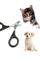 Kedi Köpek Siyah Tırnak Makası Pet Tırnak Düzeltme Kesme Evcil Hayvan Tırnak Törpüsü Pedikür - 4
