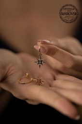 Swarovski Taşlı Kutup Yıldızı Model Altın Kaplama Gümüş Crystal Küpe - 4