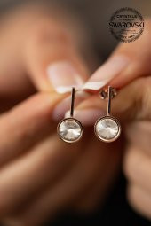 Swarovski Taşlı Tektaş ve Çubuk Model Rose Kaplama Gümüş Crystal Küpe - 4