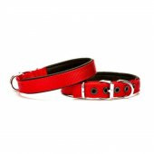 Doggie Softlu Köpek Boyun Tasması 1,5 cm x 35 cm Kırmızı - 2