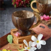 Hindistan Cevizi Coconat Bardak Coconut Glass - 4