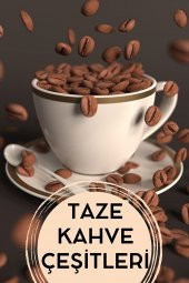 E-aktariye Mate Yaprağı 100 Gr thumbnail 4