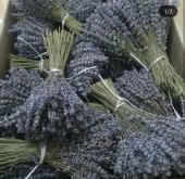Doğal Lavanta Demeti Natural 15 Adet 200-300 Dal Lavender Bundle - 3