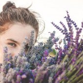 Doğal Lavanta Demeti Natural 15 Adet 200-300 Dal Lavender Bundle - 4