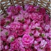 Ispartadan Doğal Gül Suyu 750 Ml Organic Rose Water - 2