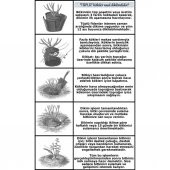 Biberiye Fidanı 3 Adet 20-30 Cm (Rosmarinus officinalis) thumbnail 2