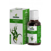 DESTEK OKALİPTUS YAĞI 10 ML - 1