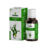 DESTEK OKALİPTUS YAĞI 20 ML - 1