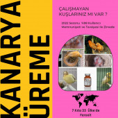 FEROXİT 100 Gr Kanarya Kızıştırıcı ve Üreme Attırıcı Karışım - 1