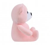Ayı 20 cm Pembe Pelüş Ayı Çocuk Oyuncak - 3