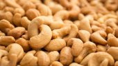 KAJU 1KG KAVRULMUŞ KAJU - 1