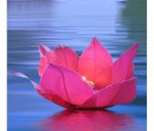 Nilüfer Su Çiçeği Su Feneri - 2