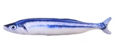 Balık Şekilli Catnipli Peluş Kedi Oyuncak 20 cm İnce - 1