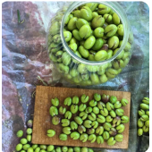 Yeşil kırma zeytin (5 kg lık bidonda 3,300 gr) - 1