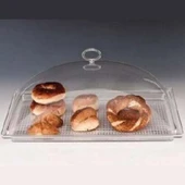 Büyük Şeffaf Muhafaza Kabı - 1