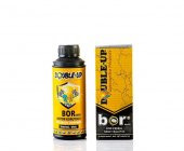Double Up Bor Nano Motor Koruyucu (400 ml) - 1