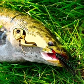 JigYem11gr Lures SahteYemRapala LevrekLüfer AilesizokaYemSuniYemp1 thumbnail 3