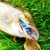 Jig Yem21gr Lures SahteYem Rapala LevrekLüferÇinekop,Yemi SuniYem21 - 4