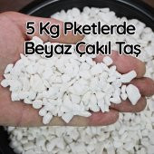 5 KgBeyaz Çakıl Taşı Teraryum Süsü Fanus Çakıl Taşı Dekoratif Akvaryum Taşı1-2 cm çaplı - 1