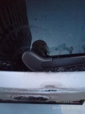 Focus Mk3 Arka Silecek Kol Kapağı 2011-2018 BM51T04178AA - 5