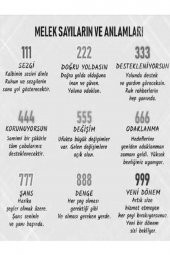 Angel Number Şans Numara Kolyesi 925 Ayar Gümüş Zincirli Gold Kolye Kişiye Özel Tasarım - 5