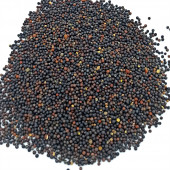 Naturdan Siyah Hardal Tohumu 100 gr - 2