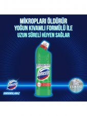 Domestos Çamaşır Suyu Yoğun Kıvamlı Maksimum Hijyen Dağ Esintisi 750 ML X 4 Adet - 3