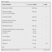 Dinamis Glucosamine Chondroitin Msm With Collagen & Boswellia 6 gr x 30 Şase - 2