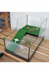 Kaplumbağa Bahçesi Kalın Cam Akvaryum Büyük Boy Siyah - 3