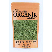 Kırk Kilit Otu ( At Kuyruğu ) Çayı 100 GR - 1