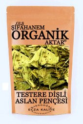 Aslan Pençesi Testere Dişli 500 GR - 1