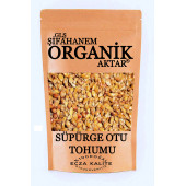 Süpürge Otu Tohumu 500GR Gıda Tipi Ecza Kalite - 1