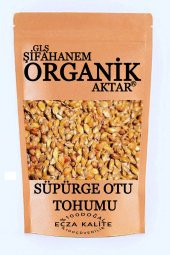 Süpürge Otu Tohumu 250GR Gıda Tipi Ecza Kalite - 1