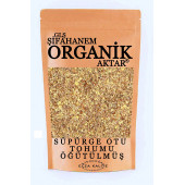 Süpürge Otu Tohumu Öğütülmüş Toz 100GR Gıda Tipi Ecza Kalite - 1