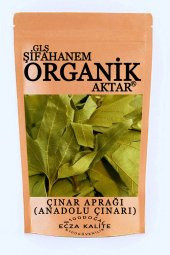Çınar Yaprağı Anadolu Çınarı Şifaen Kullanım İçin ECza Kalite 500 GR - 1