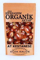 At Kestanesi 100gr Doğal - 1