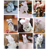 Tavşan Kulaklı Kedi Köpek Şapkası 30-34 cm - 5