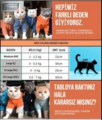 Sweet Bunny Kulaklı Kedi Tulumu,Kıyafeti - 3