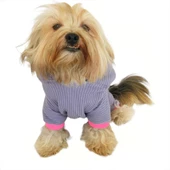 Sweet Bunny Kulaklı Köpek Tulumu Kıyafeti - 2