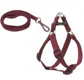 Köpek Göğüs Tasma Seti 25-40 cm Kırmızı + Gezdirme Kayışı - 1