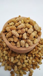 DUT KURUSU ( Doğal Kurutulmuş ) 100 GR - 1