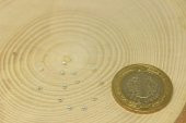 Gümüş Boncuk 2mm/5 adet - 1