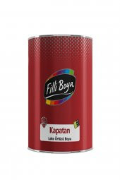 Filli Kapatan Leke Örtücü Boya 0,25lt - 1