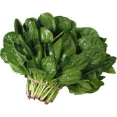 Yerli Ata Tohumu Geniş Yaprak Ispanak 100 Adet thumbnail 1
