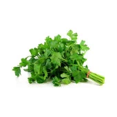 Yerli Ata Tohumu İnce Yaprak Maydanoz 500 Adet thumbnail 1