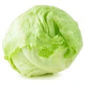 Yerli Ata Tohumu Göbek Marul 100 Adet thumbnail 1