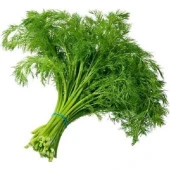 Yerli Ata Tohumu Dereotu 500 Adet thumbnail 1