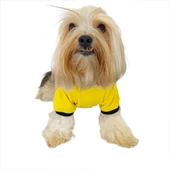 Yellow Lux Kapşonlu Sweatshirt Köpek Kıyafeti Köpek Elbisesi - 2