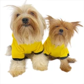 Yellow Lux Kapşonlu Sweatshirt Köpek Kıyafeti Köpek Elbisesi - 4